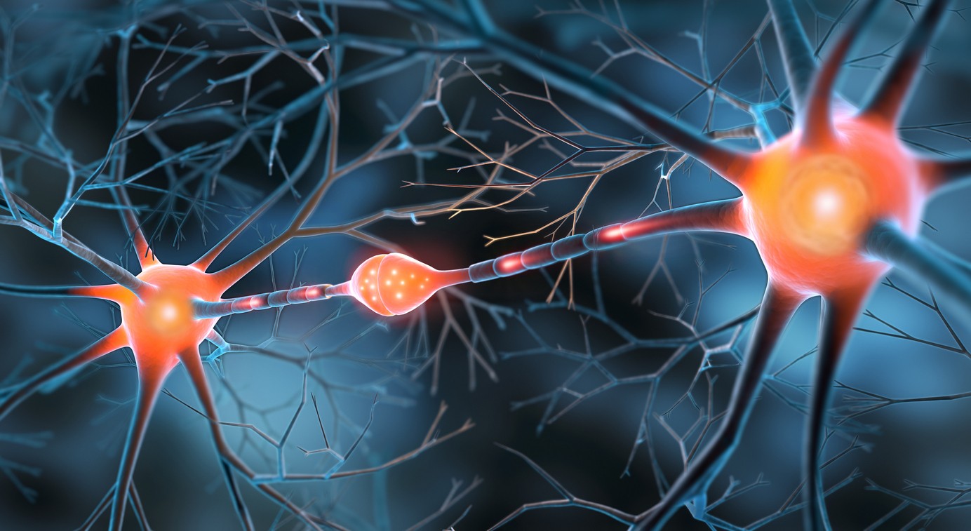 Pinealon Peptide: Research on Neuroprotection, Cell Vitality, and Cellular Age-Related Processes