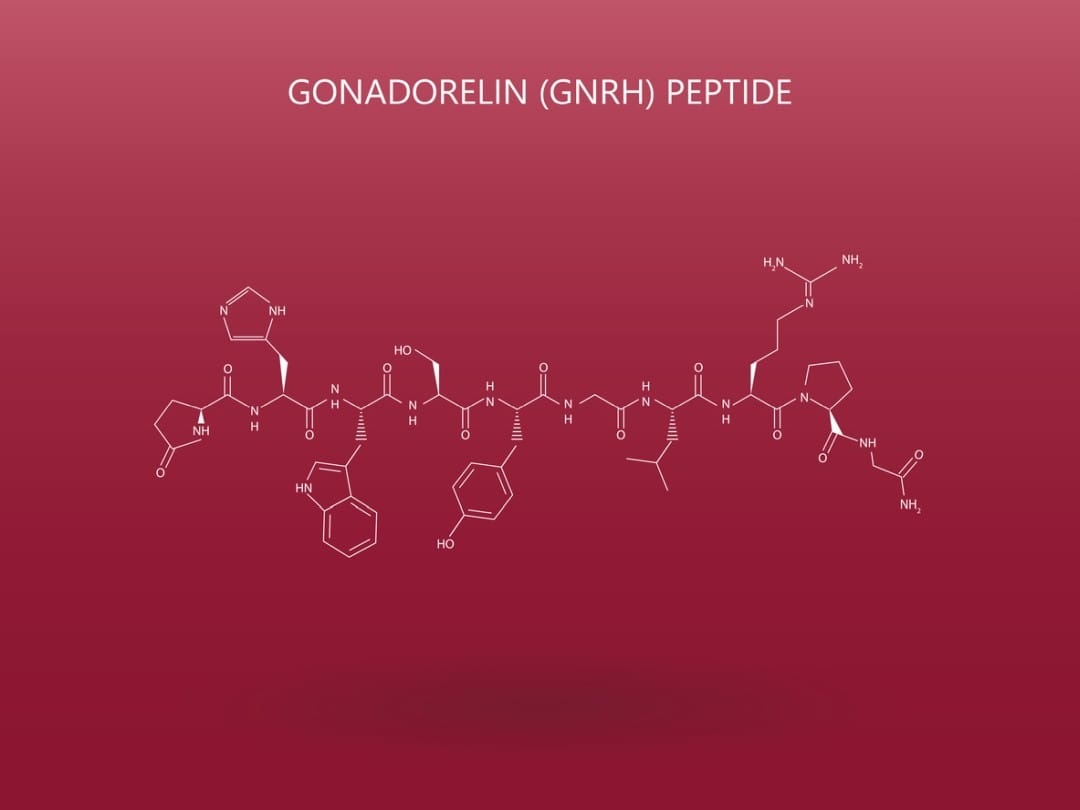 Gonadorelin’s Potential Interactions With The Hypothalamic-Pituitary-Gonadal Axis