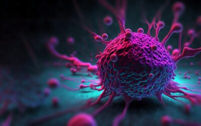 PNC-27 Peptide Interactions with Different Tumor Cell Lines